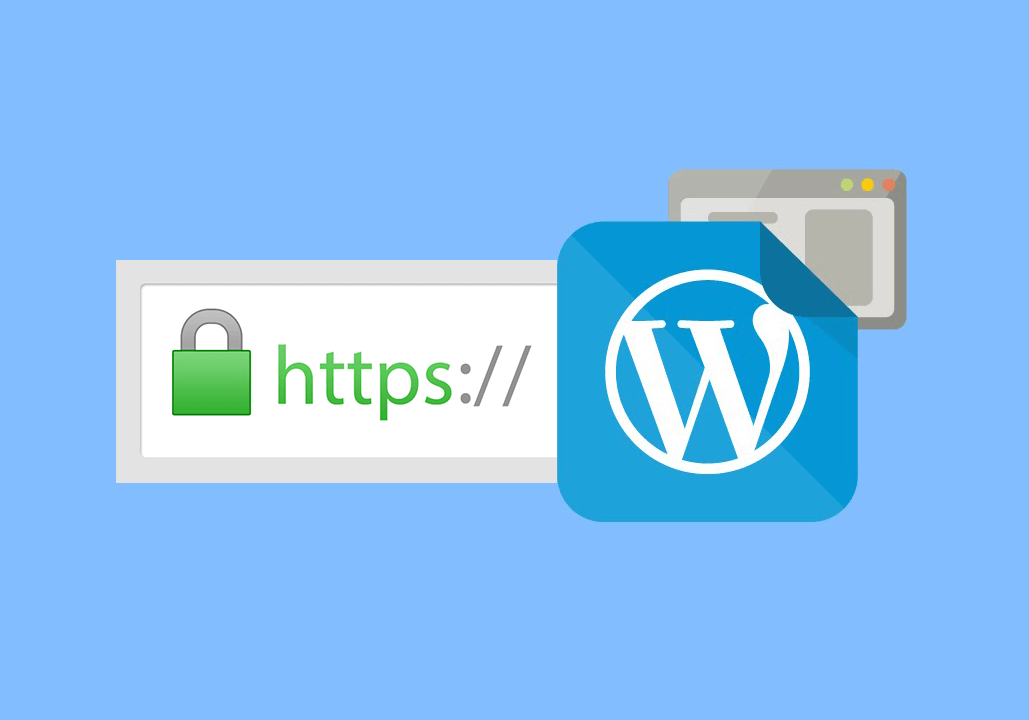 WordPress SSL Kurulumu ve HTTPS Ayarları